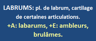2/1 cliquez ici