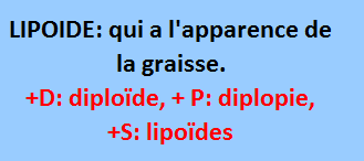 17/1 cliquez ici