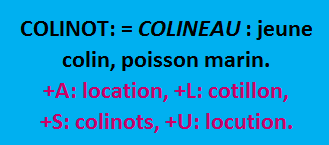 29/1 cliquez ici
