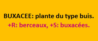30/1 cliquez ici