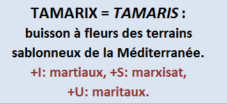 15/3   cliquez ici