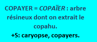 16/3   cliquez ici