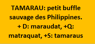 28/3, cliquez ici