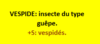 5/4  cliquez ici