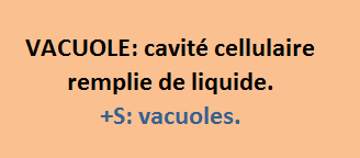 26/4   cliquez ici