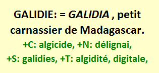 13/5   cliquez ici