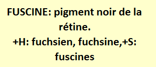 19/5  cliquez ici