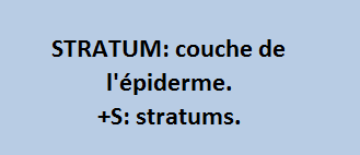 6/6   cliquez ici