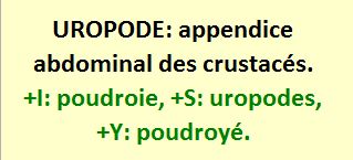 12/6    cliquez ici