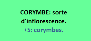 15/6   cliquez ici