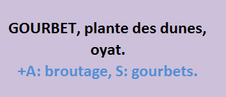 16/6  cliquez ici