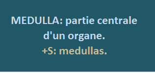 20/6    cliquez ici