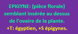 22/6    cliquez ici