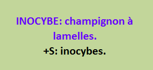 10/7   cliquez ici