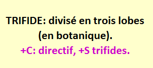 11/7   cliquez ici