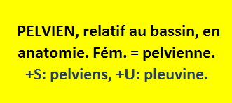14/7   cliquez ici