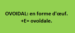 16/7   cliquez ici