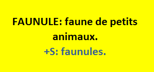24/7   cliquez ici
