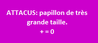 1/8   cliquez