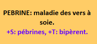 11/8  cliquez ici