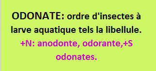 19/8  cliquez ici