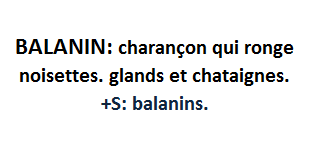 24/8   cliquez ici