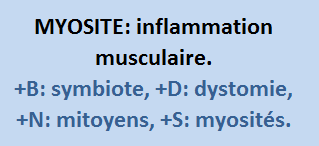 9/9   cliquez ici
