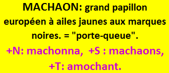 11/9  cliquez ici