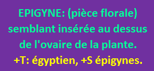 10/10  cliquez ici