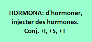 17/11    cliquez ici