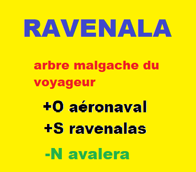 2/1/21    cliquez ici