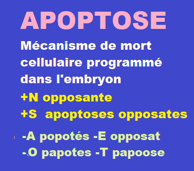 9/1/21   cliquez ici