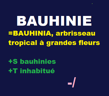 20/5   cliquez ici