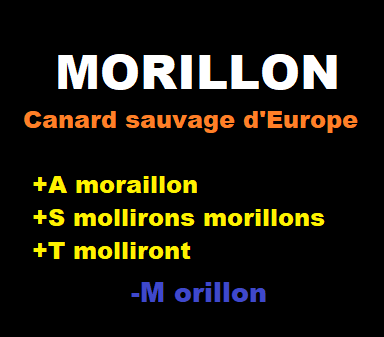 30/6   cliquez ici