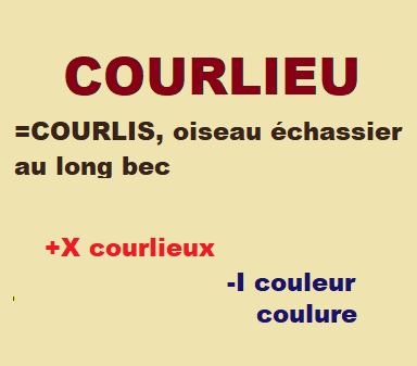 20/10    cliquez ici