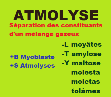 13/11    cliquez ici