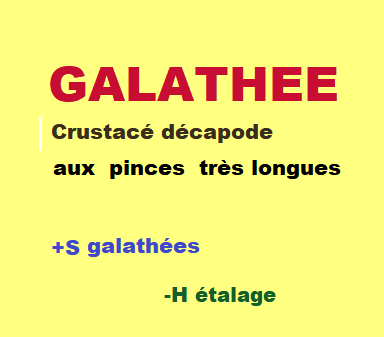 13/12   cliquez ici