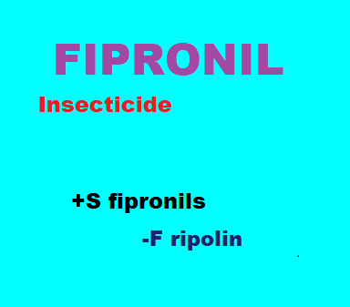 17/12  cliquez ici