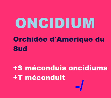 30/12   cliquez ici