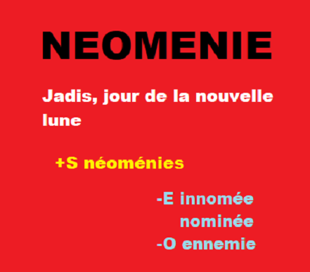 31/12    cliquez ici