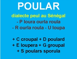 5/1/22   cliquez ici