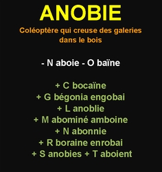8/1/22   cliquez ici