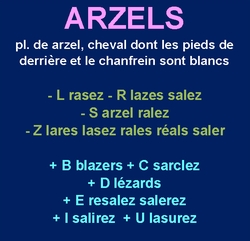 11/1/22   cliquez ici