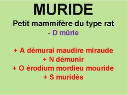 14/1/22  cliquez ici