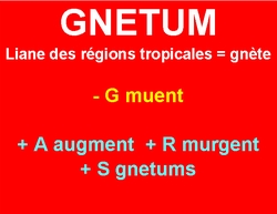 15/1/22   cliquez ici