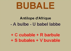 16/1/22   cliquez ici
