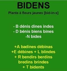 30/1   cliquez ici