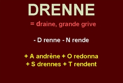 31/1    cliquez ici