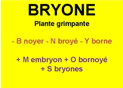 26/3     cliquez ici