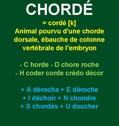 29/3   cliquez ici